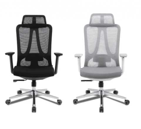 Rex Computer - REX COMPUTER