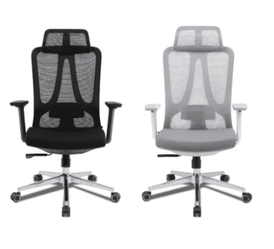 Rex Computer - REX COMPUTER